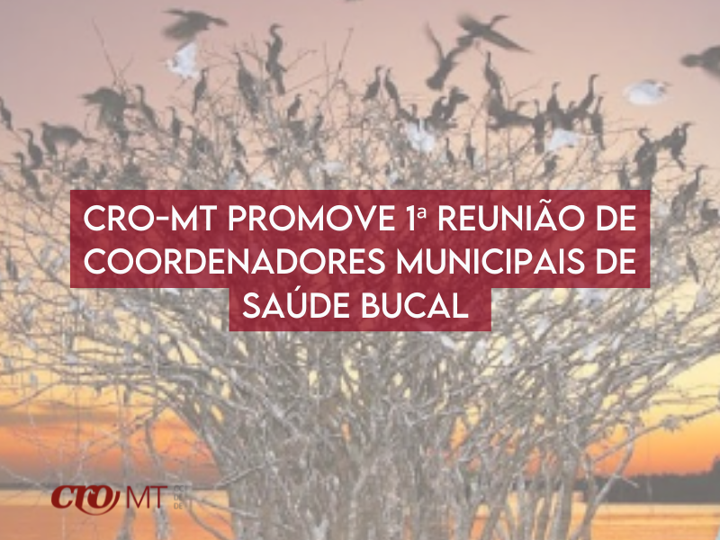 CRO-MT promove evento para coordenadores de saúde bucal