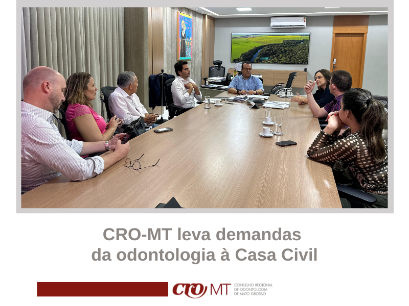 CRO-MT leva demandas da odontologia à Casa Civil